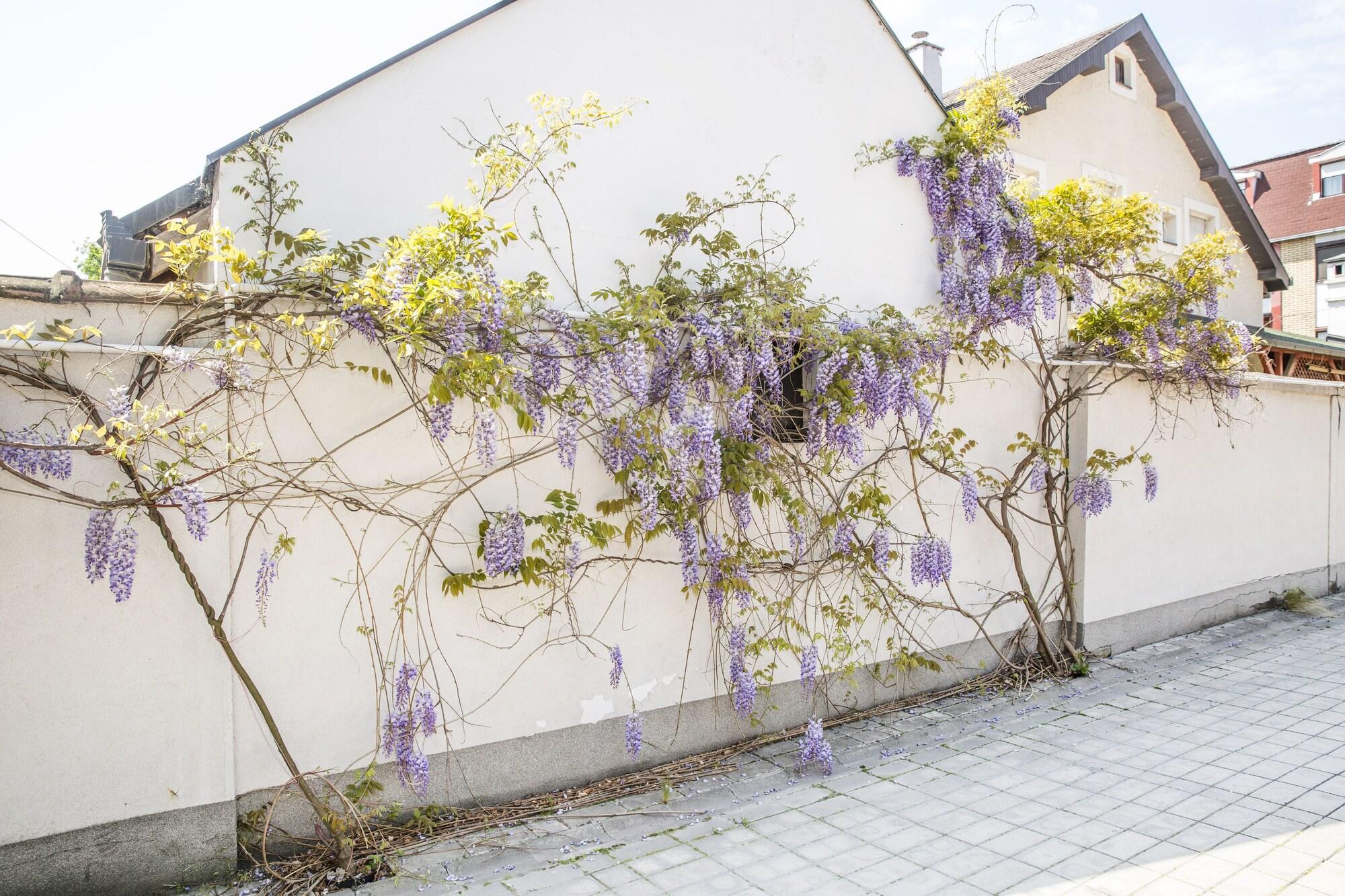 Garni Boutique Hotel Arta Novi Sad Exterior photo